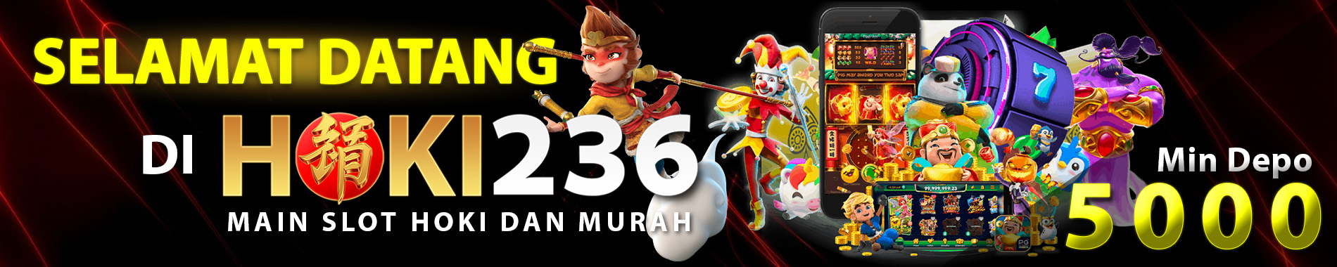 Hoki236